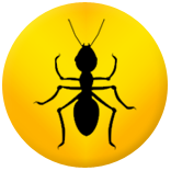 Pest Control
