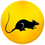 Pest Control