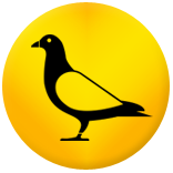 Pest Control
