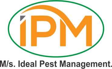 Pest Control Service in Pune NCR