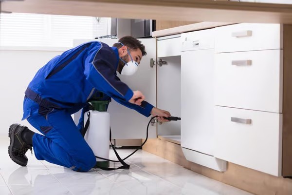 Pest Control Services in Moshi