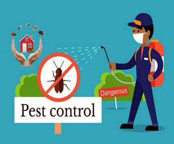 Pest Control Video