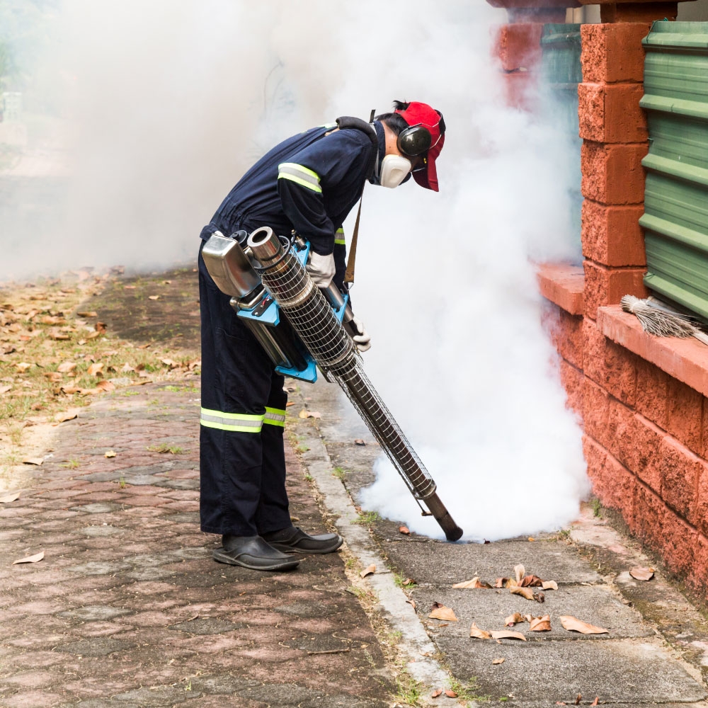 Pest Control Services in Wakad