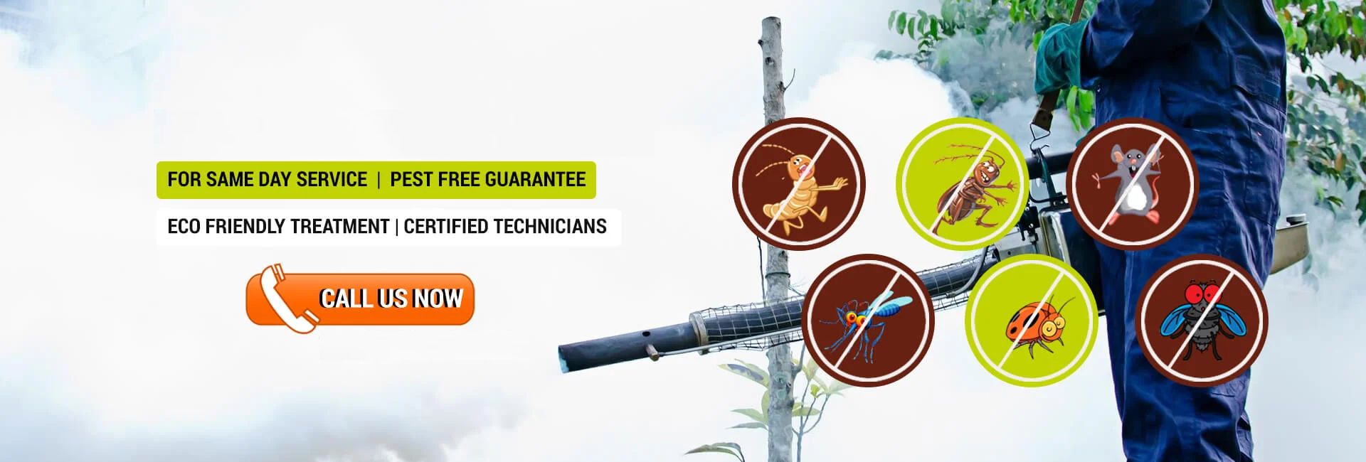 Pest Control Service in Pune NCR