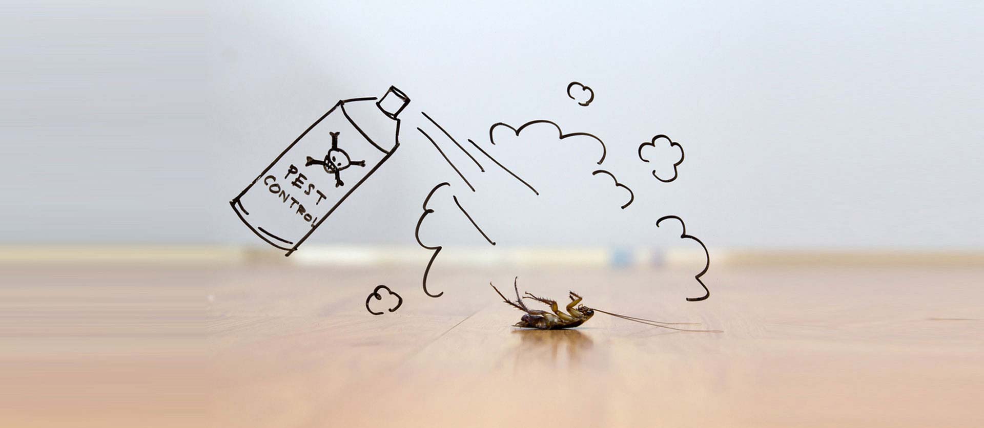 Pest Control Service in Pune NCR